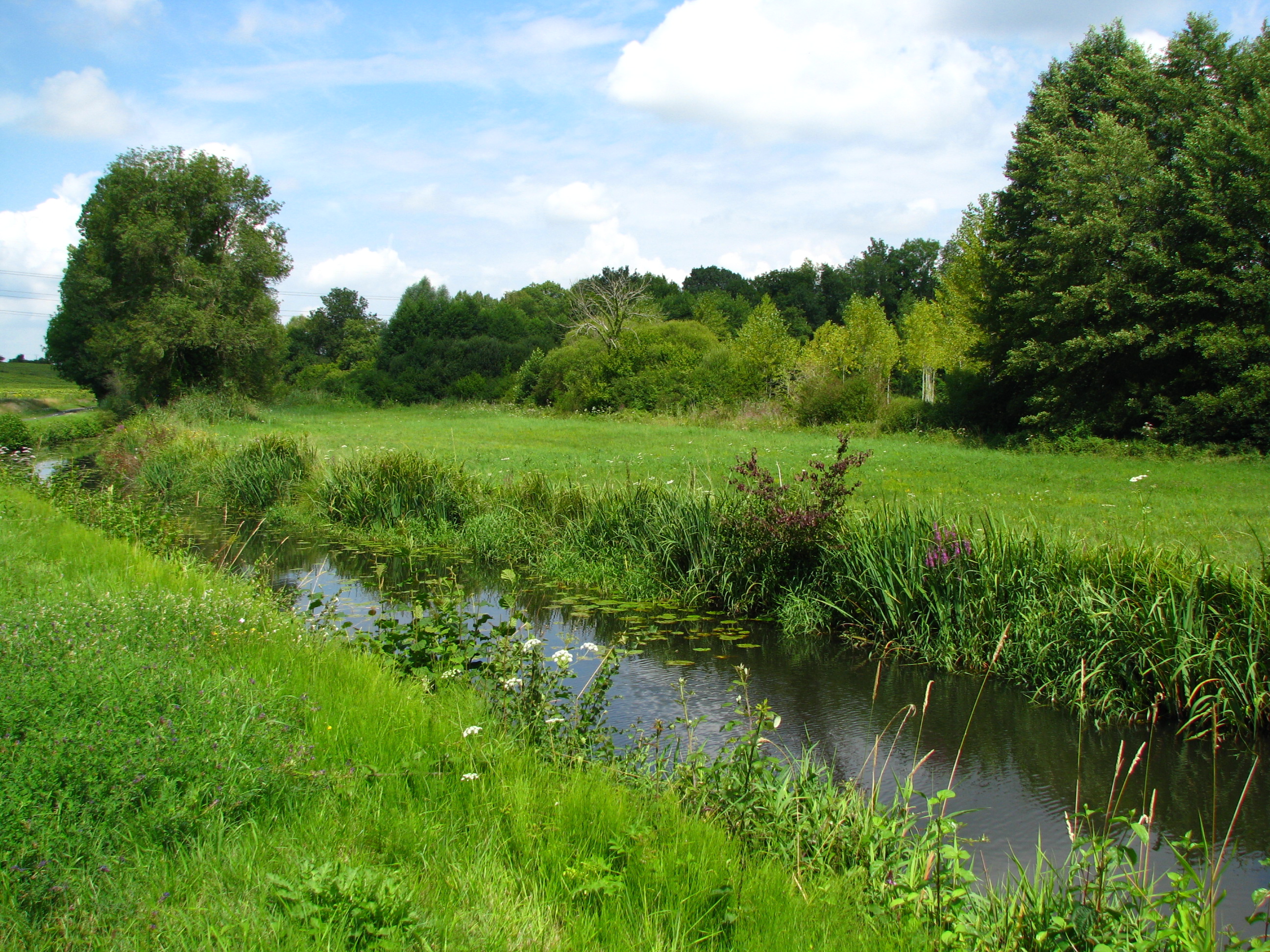 La rivière du Changeon à Continvoir